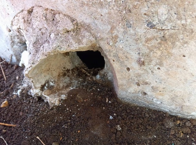 夜中に聞こえる「壁をかじる音」──ネズミ対策事例（横浜市鶴見区）